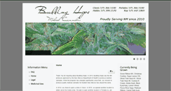 Desktop Screenshot of buddinghope.org